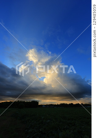 Clouds illuminated by the setting sun 129485059