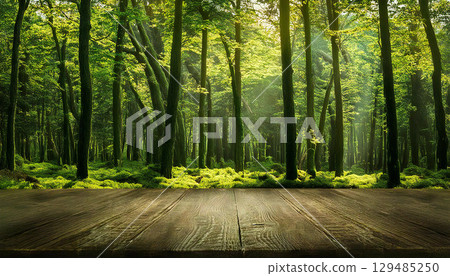 森林背景材料 129485250