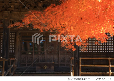 The approach to a temple covered in autumn leaves 129485287