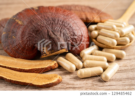 Lingzhi or Reishi mushroom with capsules, organic natural healthy food. 129485462