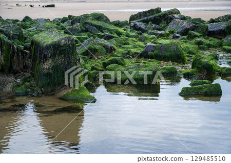 Nose's point beach and cliffs view . English Channel coast of northern England. Hartlepool, UK. Nose's point beach and cliffs view . English Channel coast of northern England. Hartlepool, UK. 129485510