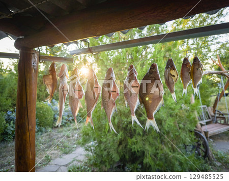 Dried fish hanging on the rope. Preparing fish for consumption. Preparing fish for long-term storage Dried fish hanging on the rope. Preparing fish for consumption. Preparing fish for long-term storage 129485525