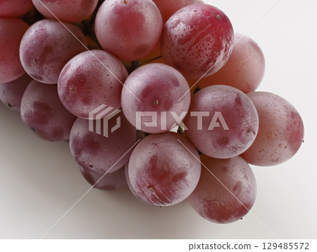 特拉華 特拉華 129485572