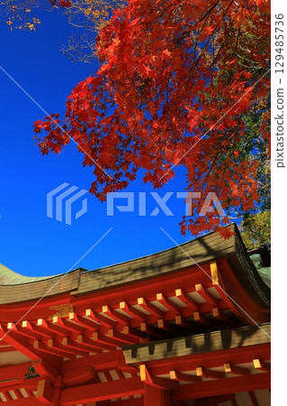Landscape with autumn leaves 129485736