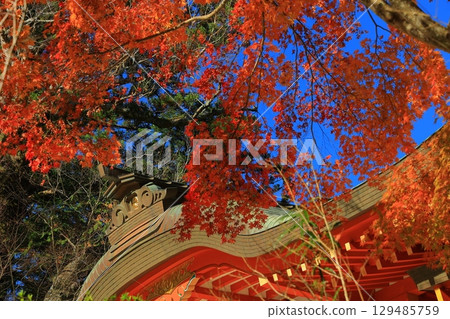 Landscape with autumn leaves 129485759