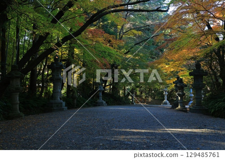 Landscape with autumn leaves 129485761