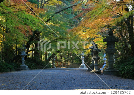 Landscape with autumn leaves Landscape with autumn leaves 129485762