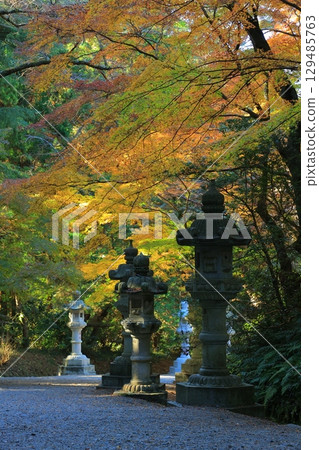 Landscape with autumn leaves 129485763