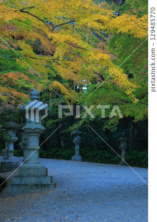 Landscape with autumn leaves 129485770