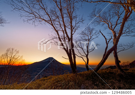 Mt. Fuji near dawn seen from Asagiri Plateau/Amagatake 129486005