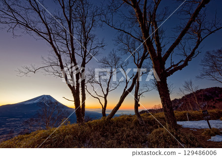 從朝霧高原/天嶽看黎明時分的富士山 129486006