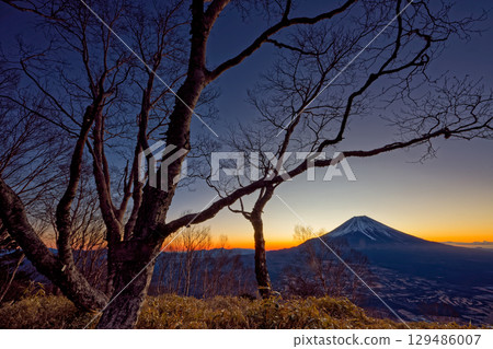 從朝霧高原/天嶽看黎明時分的富士山 129486007