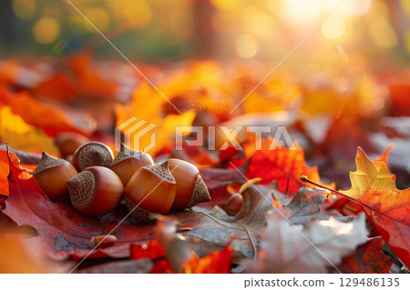 Texture of acorns and fallen leaves that give a sense of autumn nature Texture of acorns and fallen leaves that give a sense of autumn nature 129486135