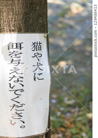 標語上寫著“請勿餵貓或狗” 129486413