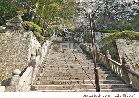 [Hashikuraji Temple (approach)] Suzukuraya, Ikeda-cho, Miyoshi City, Tokushima Prefecture 129486534