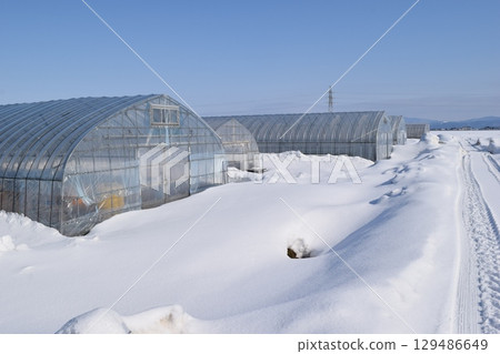 大雪地區乙烯基溫室 大雪地區乙烯基溫室 129486649