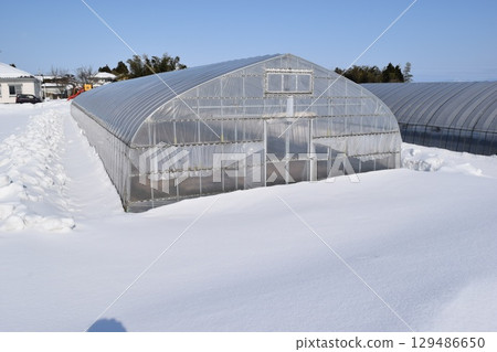大雪地區乙烯基溫室 大雪地區乙烯基溫室 129486650