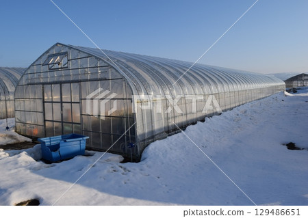 大雪地區乙烯基溫室 大雪地區乙烯基溫室 129486651