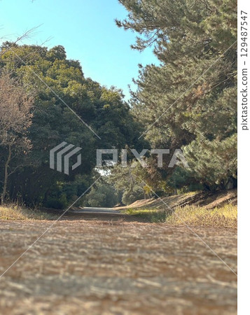 Autumn scenery found in the park Autumn scenery found in the park 129487547
