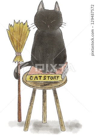 Black cat sitting on a chair 129487572
