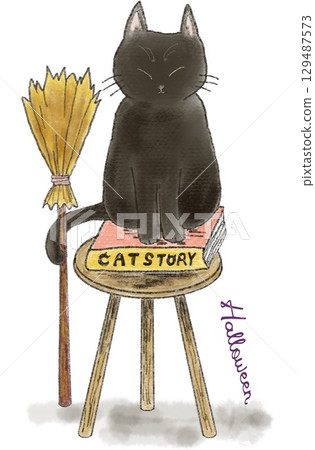 Black cat sitting on a chair 129487573