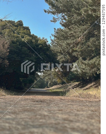 在陽光明媚的冬日行走的小路 129487595