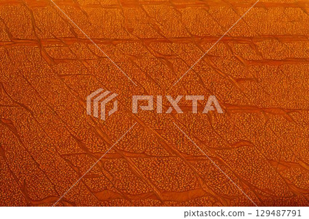 Natural and soft orange pattern 129487791