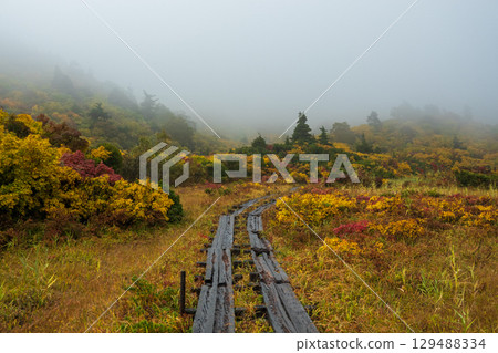 Climbing Mount Kurikoma in autumn (Sugawa Onsen to Ubunuma) 129488334