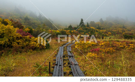 秋季攀登栗駒山（菅川溫泉～宇文沼） 129488335