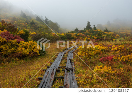 Climbing Mount Kurikoma in autumn (Sugawa Onsen to Ubunuma) 129488337