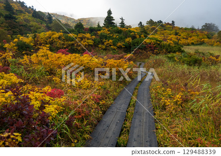 秋季攀登栗駒山（菅川溫泉～宇文沼） 129488339