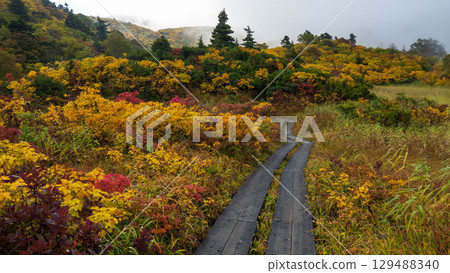 秋季攀登栗駒山（菅川溫泉～宇文沼） 129488340