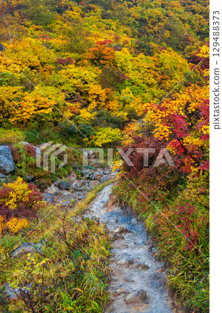 秋季攀登栗駒山（菅川溫泉～宇文沼） 129488373