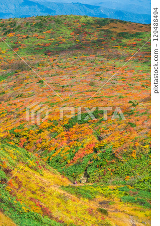 秋季攀登栗駒山（宇文沼～東栗駒） 129488494