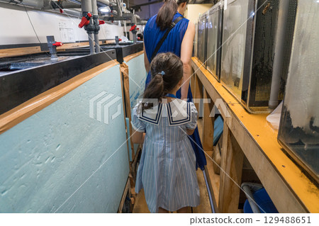 Kamo Aquarium Backstage Tour 129488651