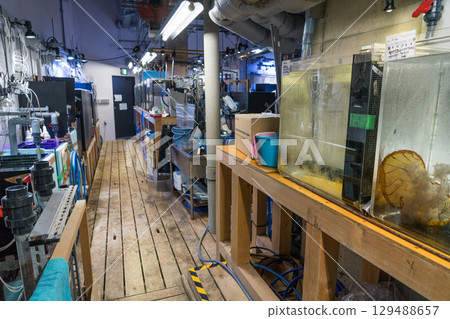 Kamo Aquarium Backstage Tour 129488657