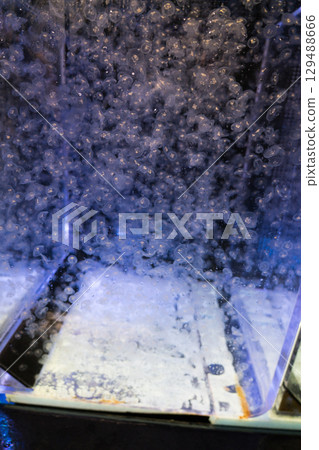 Kamo Aquarium Backstage Tour 129488666