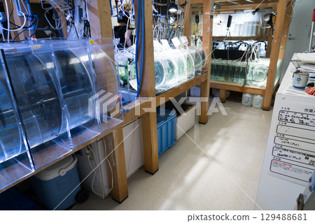 Kamo Aquarium Backstage Tour Kamo Aquarium Backstage Tour 129488681