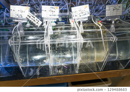 加茂水族館後台之旅 加茂水族館後台之旅 129488683