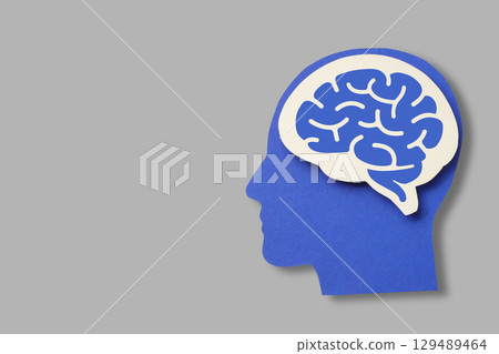 Visualizing the human brain and its significance Visualizing the human brain and its significance 129489464