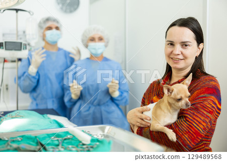 Woman owner holds and cuddles chihuahua pet after therapeutic manipulations in veterinary clinic 129489568