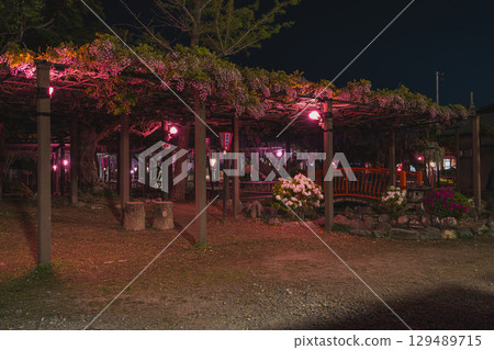 Illuminated Kumano Nagafuji in Iwata City (Shizuoka Prefecture) 129489715