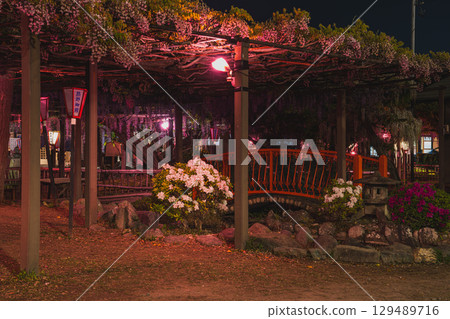 Illuminated Kumano Nagafuji in Iwata City (Shizuoka Prefecture) 129489716