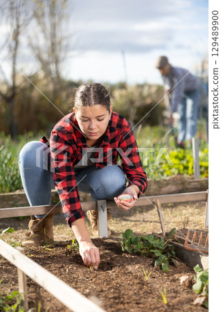 Young girl farmer in plaid shirt squatting on heaps and planting various seeds during season on sunny day in spring 129489900