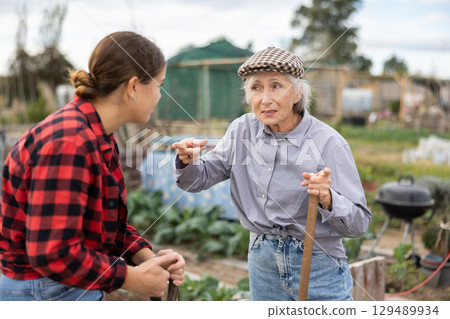 Conflict between female neighbors in country farm Conflict between female neighbors in country farm 129489934