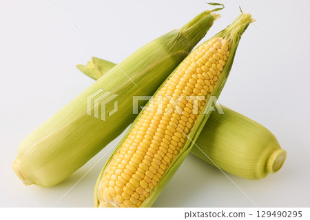 Fresh corn Fresh corn 129490295