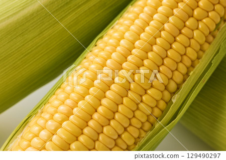 Fresh corn 129490297