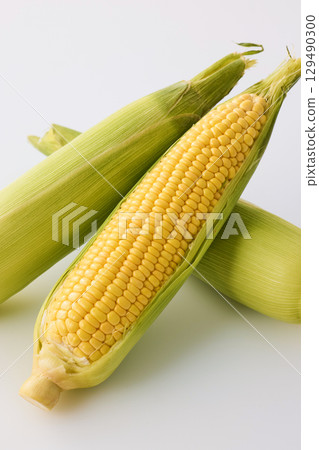 新鮮的玉米 129490300