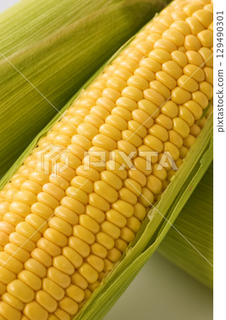 Fresh corn 129490301