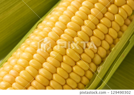 Fresh corn 129490302